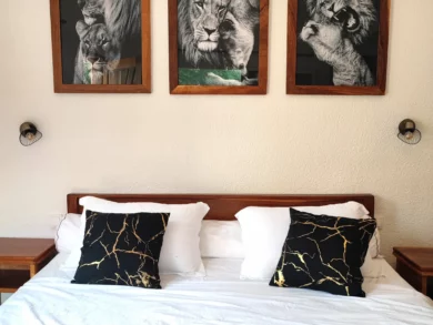 Le Campement Houéfa compte deux villas, avec chacune 3 chambres. Photo de la chambre numéro 1 avec son triptyque, portait d'une famille de lions, son lit King size, son chemin de lit et ses coussins d'apparat rappelant subtilement le code couleur noir et or de l'espace salle de bain.