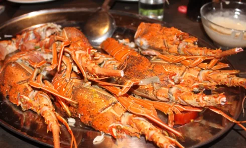A proximité du Campement Houéfa, vous pourrez déguster des plats traditionnels sénégalais voire gastronomiques. L'image représente un plat garni de langoustes.